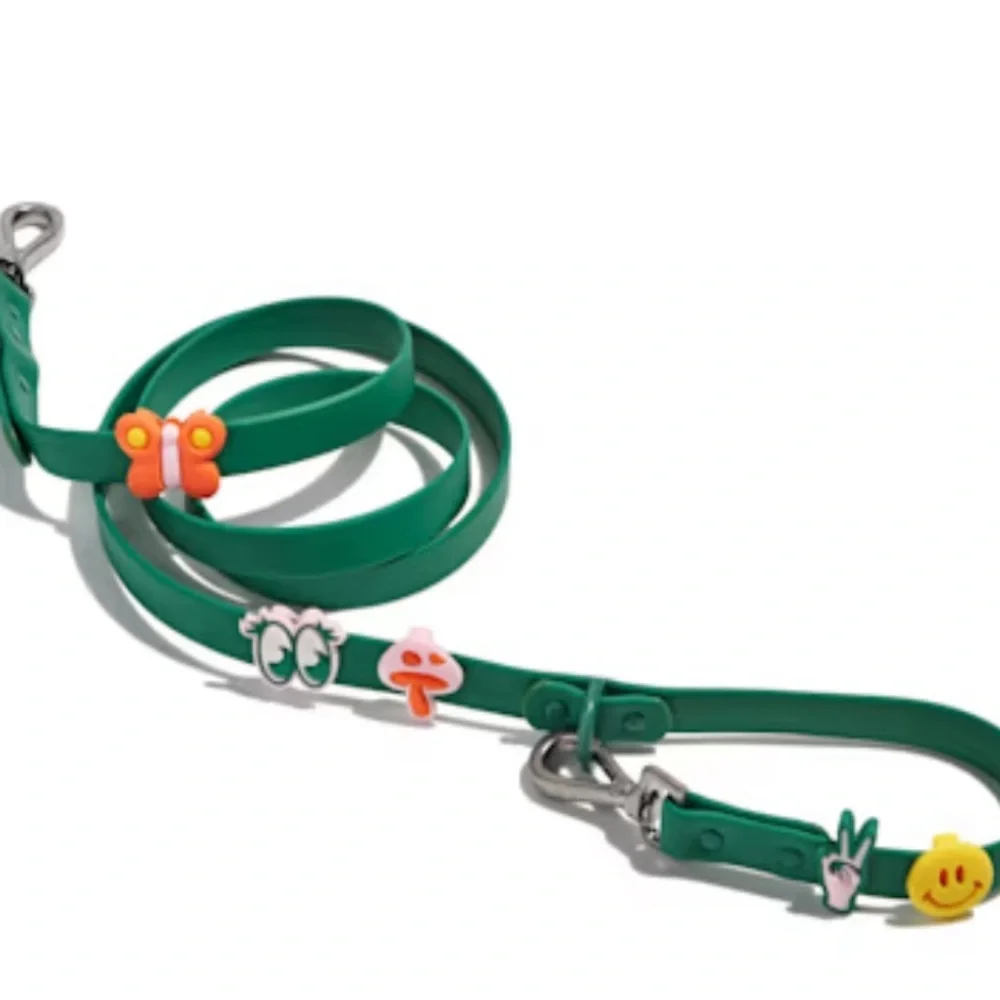 Wild One Leash & Collar Flair charms XS/S Mini